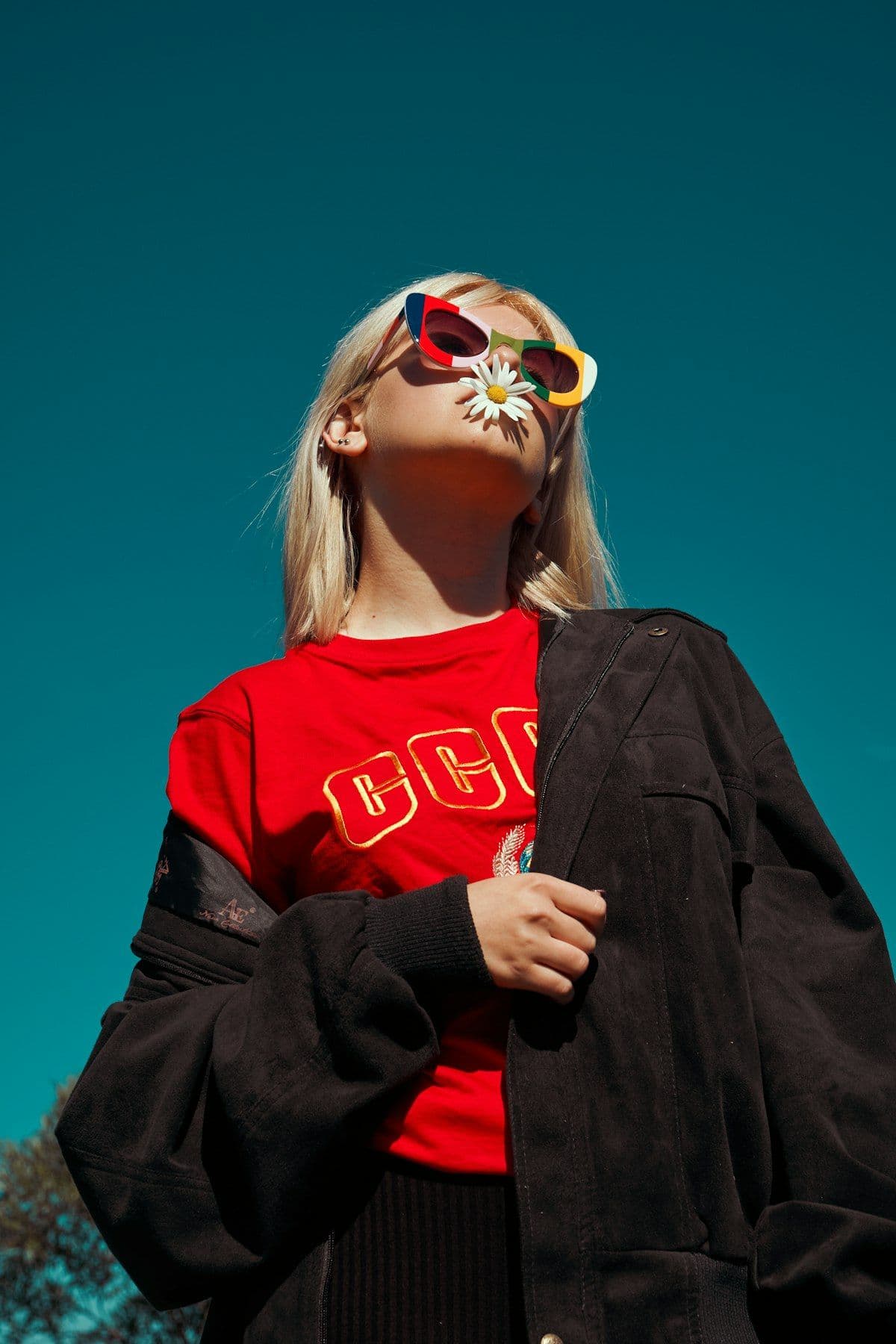 New Arrivals collection image